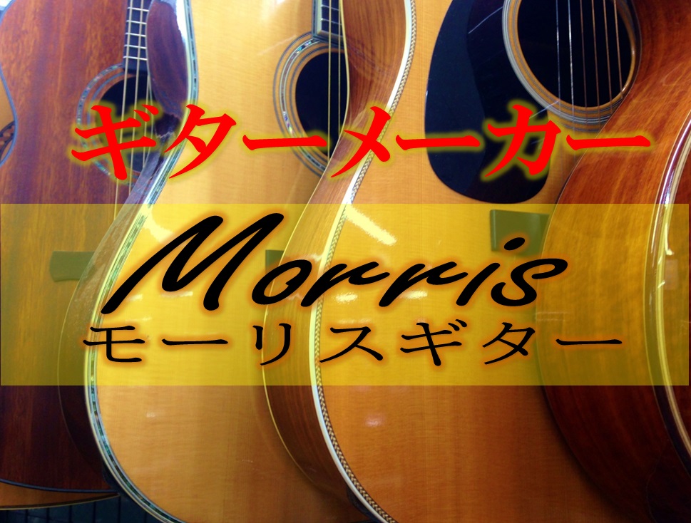 モーリス Morris アコースティックギター M- 12TS ケース弦付き 高品質