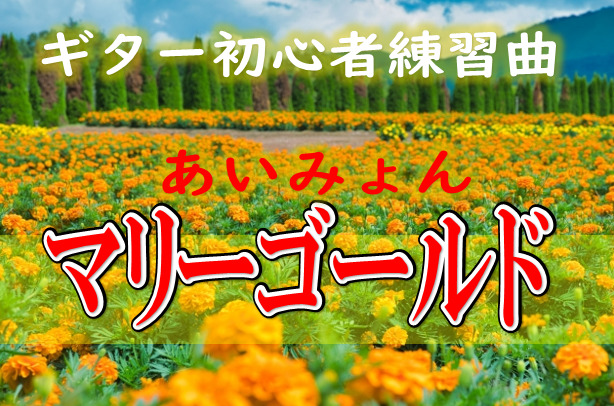 ギター講師が教える ギター初心者練習曲におすすめ マリーゴールド のコード弾き方紹介 おーみんブログ 最高の笑顔で最高の人生を