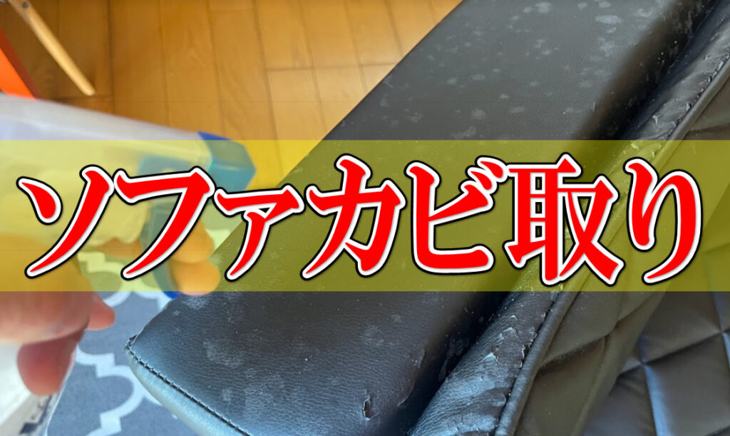 ソファーに付着したカビを重曹と歯ブラシで取ってみたよ | おーみんブログ 最高の笑顔で最高の人生を